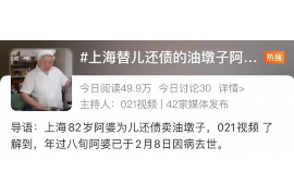 庐山为什么选择专业追讨公司来处理您的债务纠纷？